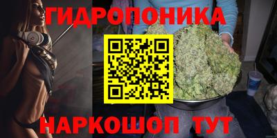 стафф Гусев