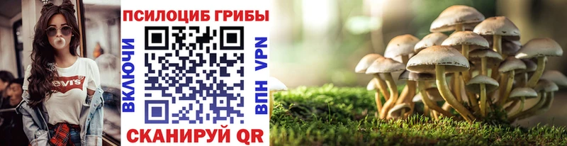 дарк нет какой сайт  Мелеуз  Псилоцибиновые грибы ЛСД 